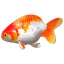 File:Goldfish.png