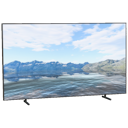 Flat-Screen TV