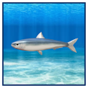 File:Sardine Painting.png