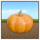File:Pumpkin Painting.png