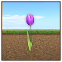 Tulip Painting