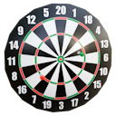 Dart Board