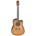 Acoustic Guitar