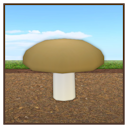 File:Brown Mushroom Painting.png