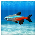 File:Tetra Painting.png