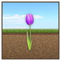 Thumbnail for version as of 16:48, 11 July 2026