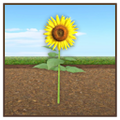 Thumbnail for version as of 16:49, 11 July 2026