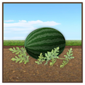 Thumbnail for version as of 16:52, 11 July 2026