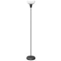 Thumbnail for version as of 17:58, 6 July 2026