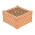 Thumbnail for version as of 21:55, 5 July 2026